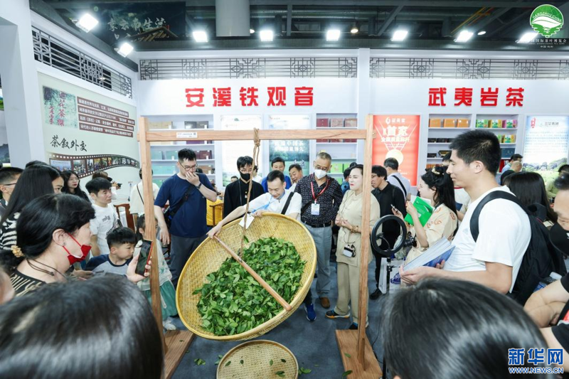 茶叶干燥设备：让传统工艺焕发新光彩